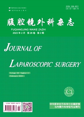 腹腔镜外科杂志