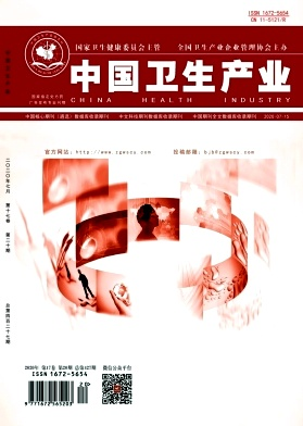 中国卫生产业（湖南目录）