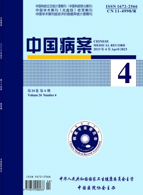 中国病案