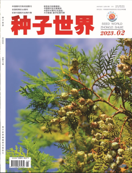 种子世界