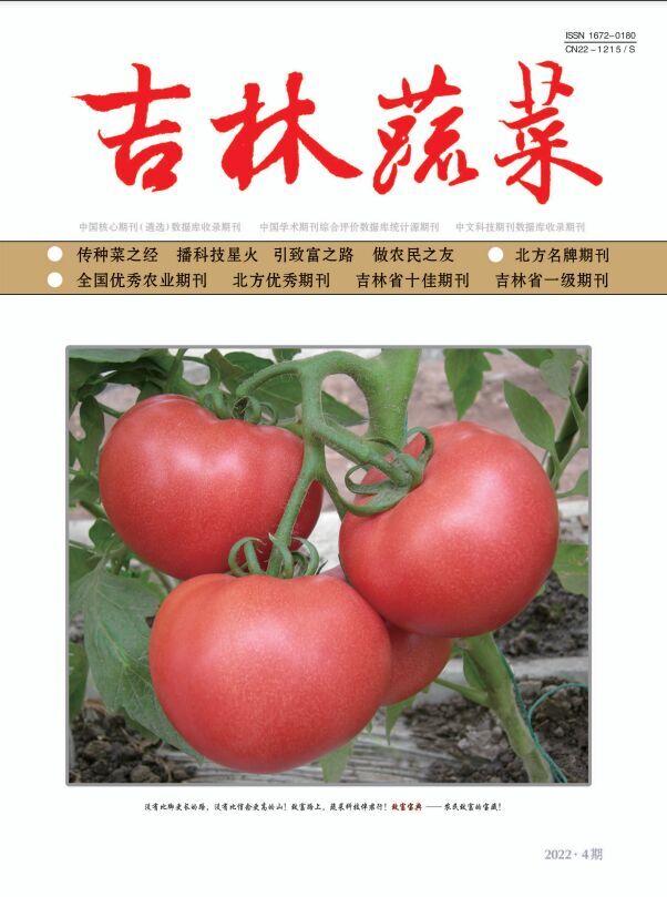 吉林蔬菜