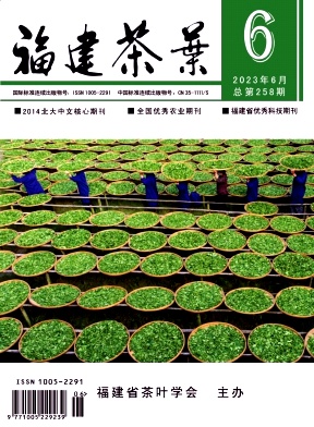 福建茶叶