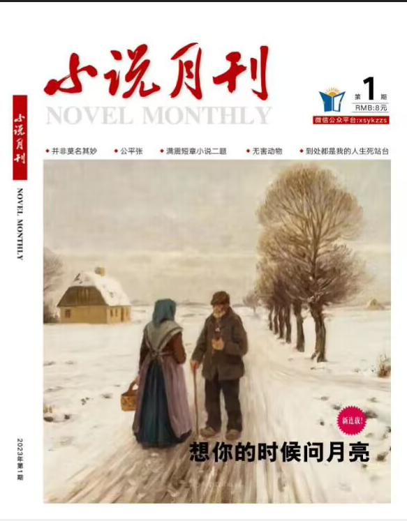 小说月刊