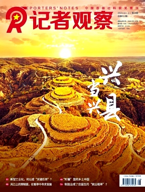 记者观察