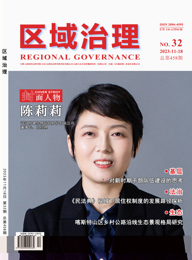 区域治理