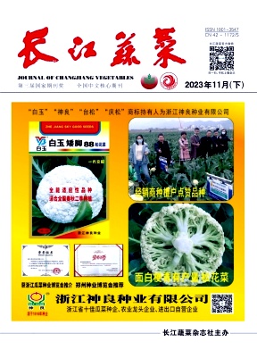 长江蔬菜