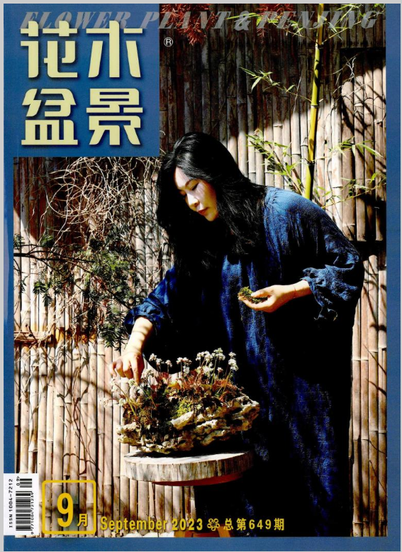 花木盆景