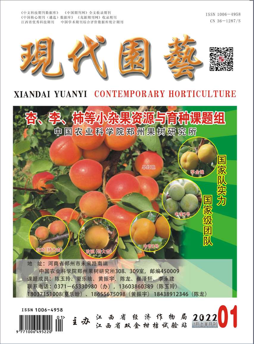 现代园艺