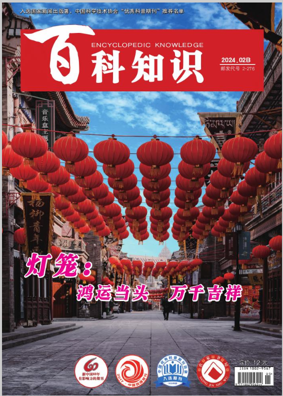 百科知识