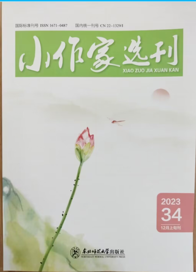 小作家选刊
