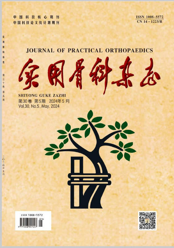 实用骨科杂志