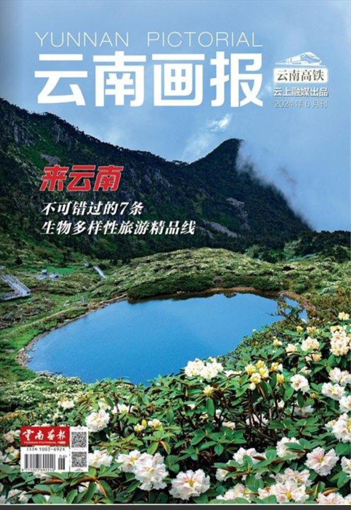 云南画报
