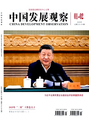 中国发展观察（AMI扩展）（2026SCD）